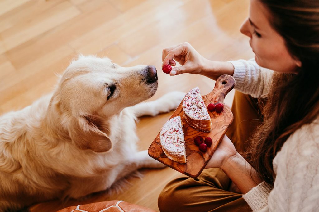Woman preparing homemade dog treats with a golden retriever, featuring raspberry-topped treats on a wooden board, emphasizing natural ingredients for healthy dog care.